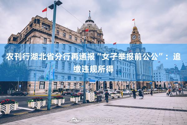 农刊行湖北省分行再通报“女子举报前公公”：追缴违规所得